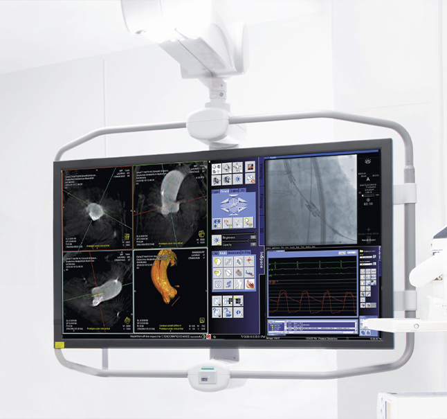 Zawieszenie na monitory FCS 500